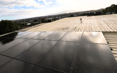 Why Solar Panels Are a Smart Choice for New Zealand Homes